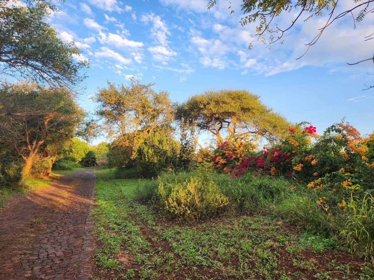 River Cottage Lodge Malalane Esterno foto